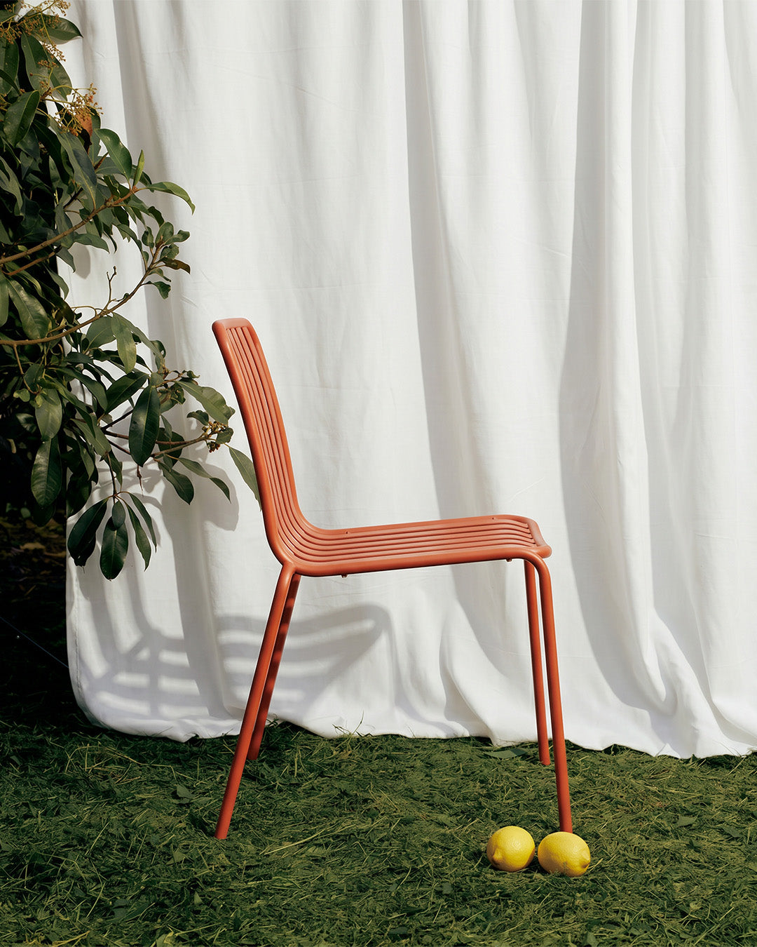 Ziro Dining Chair