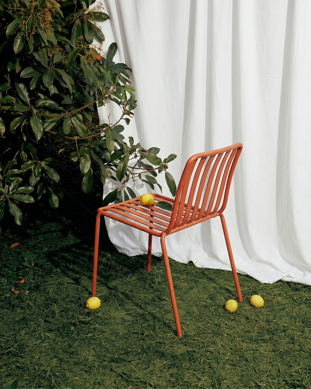 Ziro Dining Chair