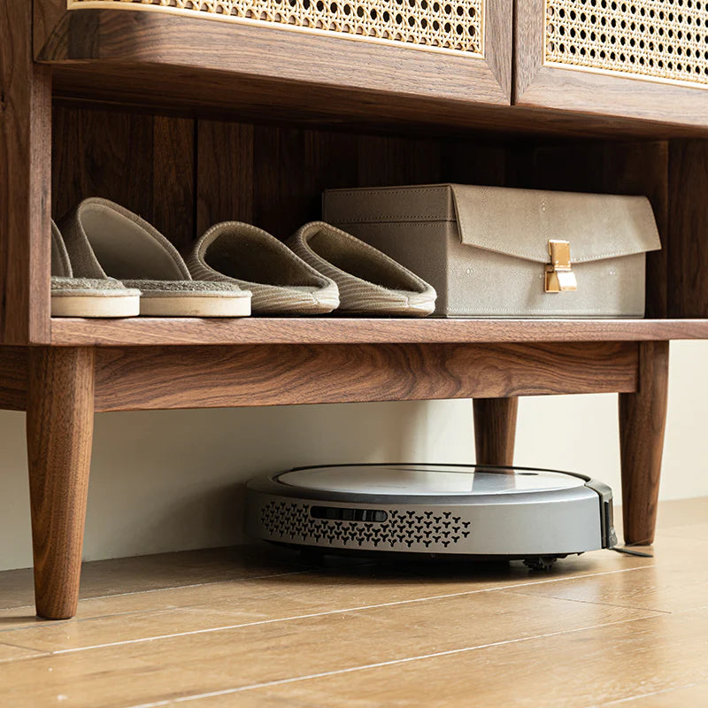 Ashmont Shoe Cabinet