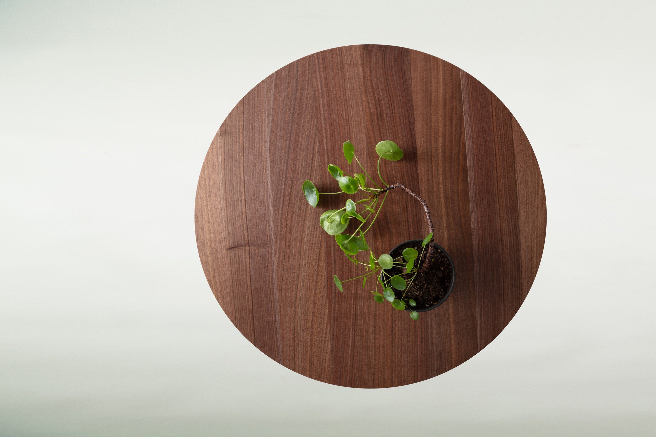 Andes Table - Ramgarh Crafts