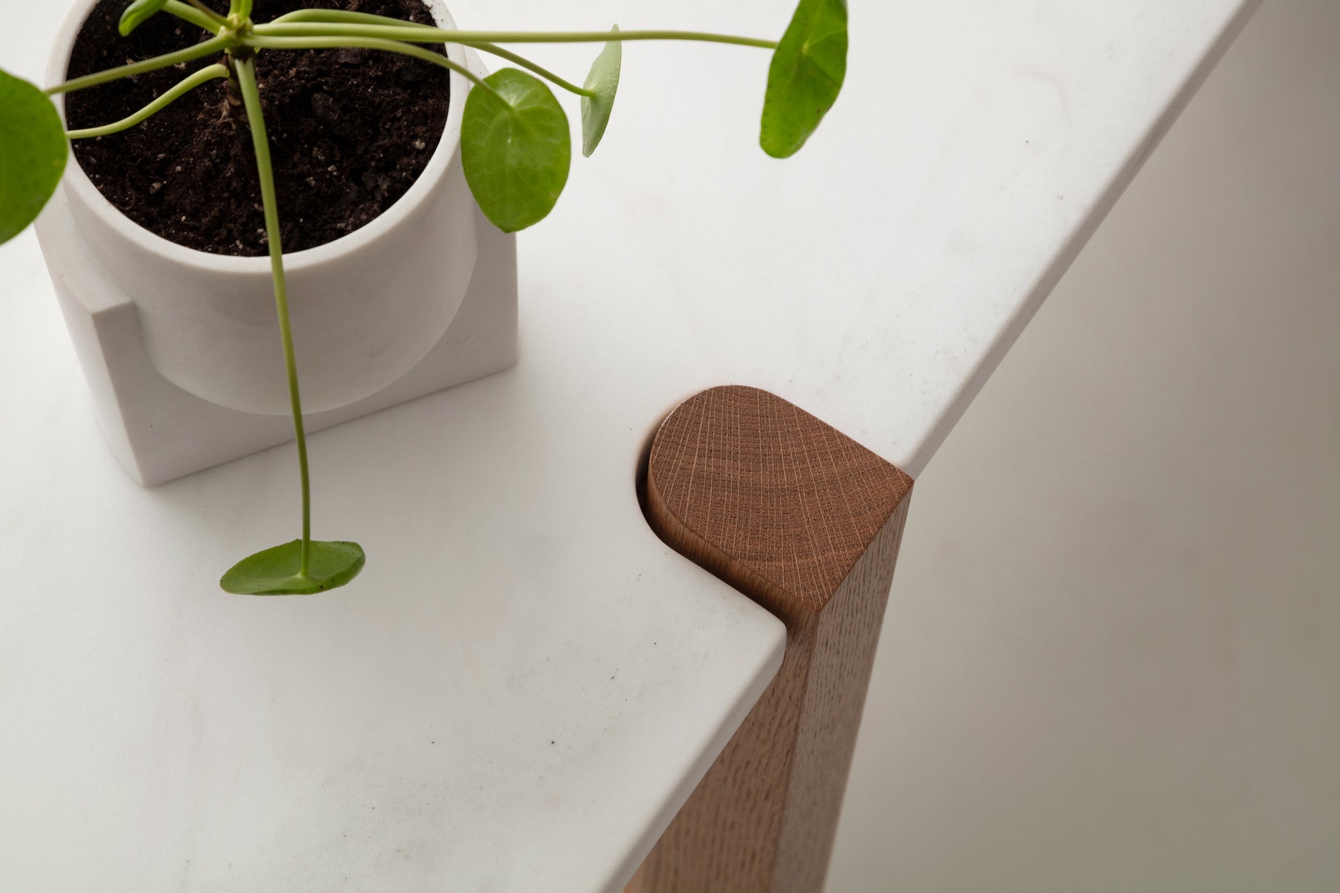 Brooks Console - Ramgarh Crafts