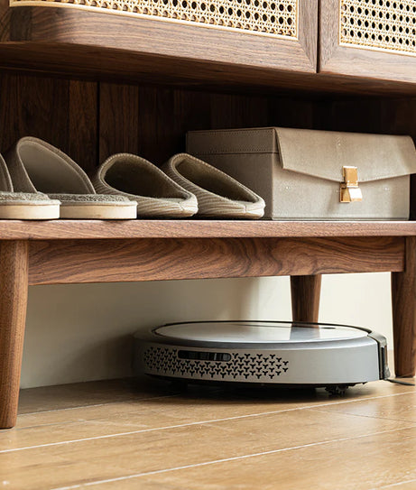 Ashmont Shoe Cabinet
