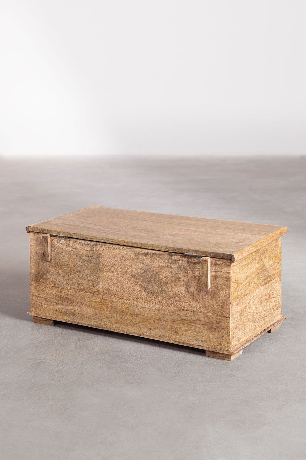 Barbarian Trunk - Ramgarh Crafts