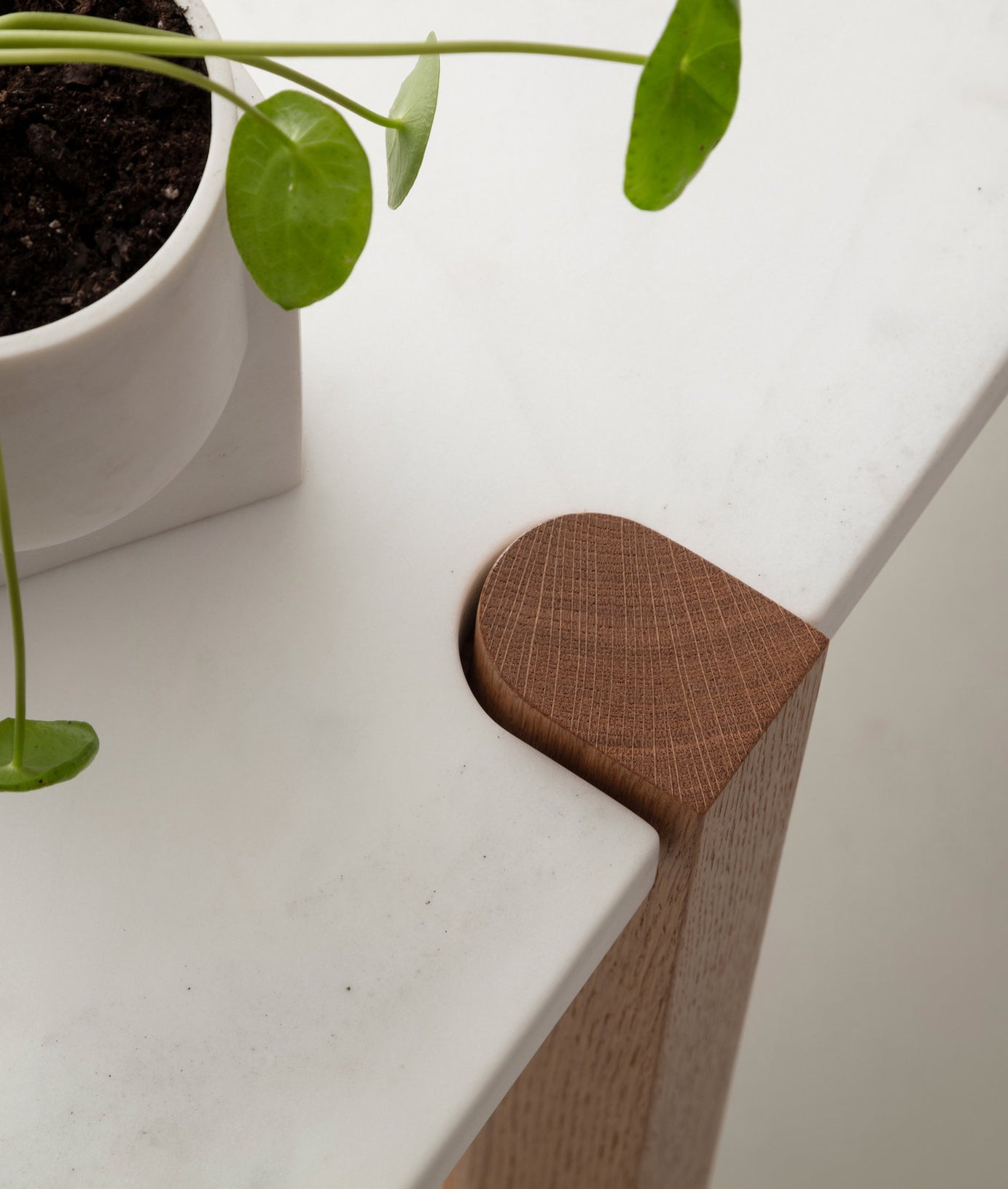 Brooks Console - Ramgarh Crafts