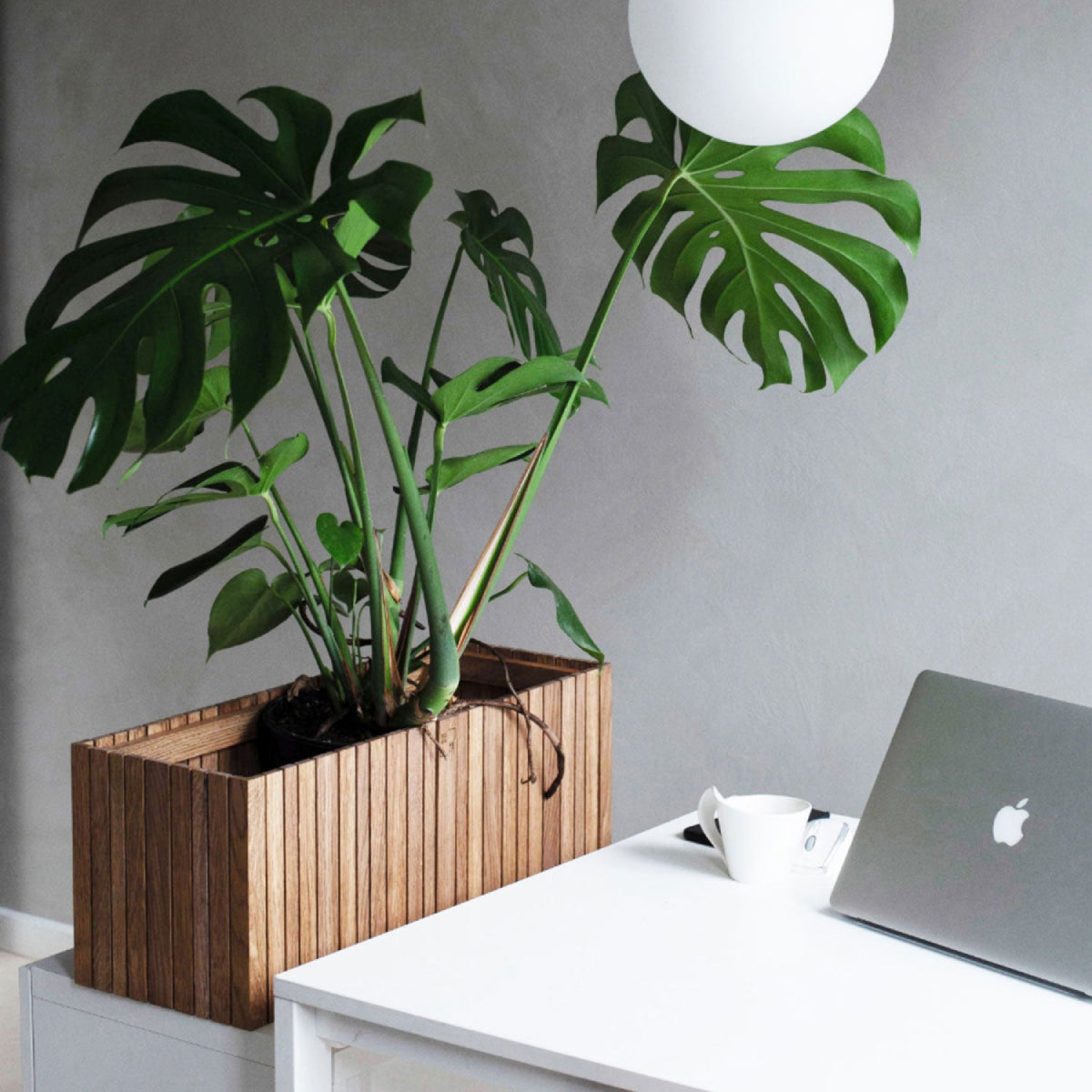 Hound Planter - Ramgarh Crafts