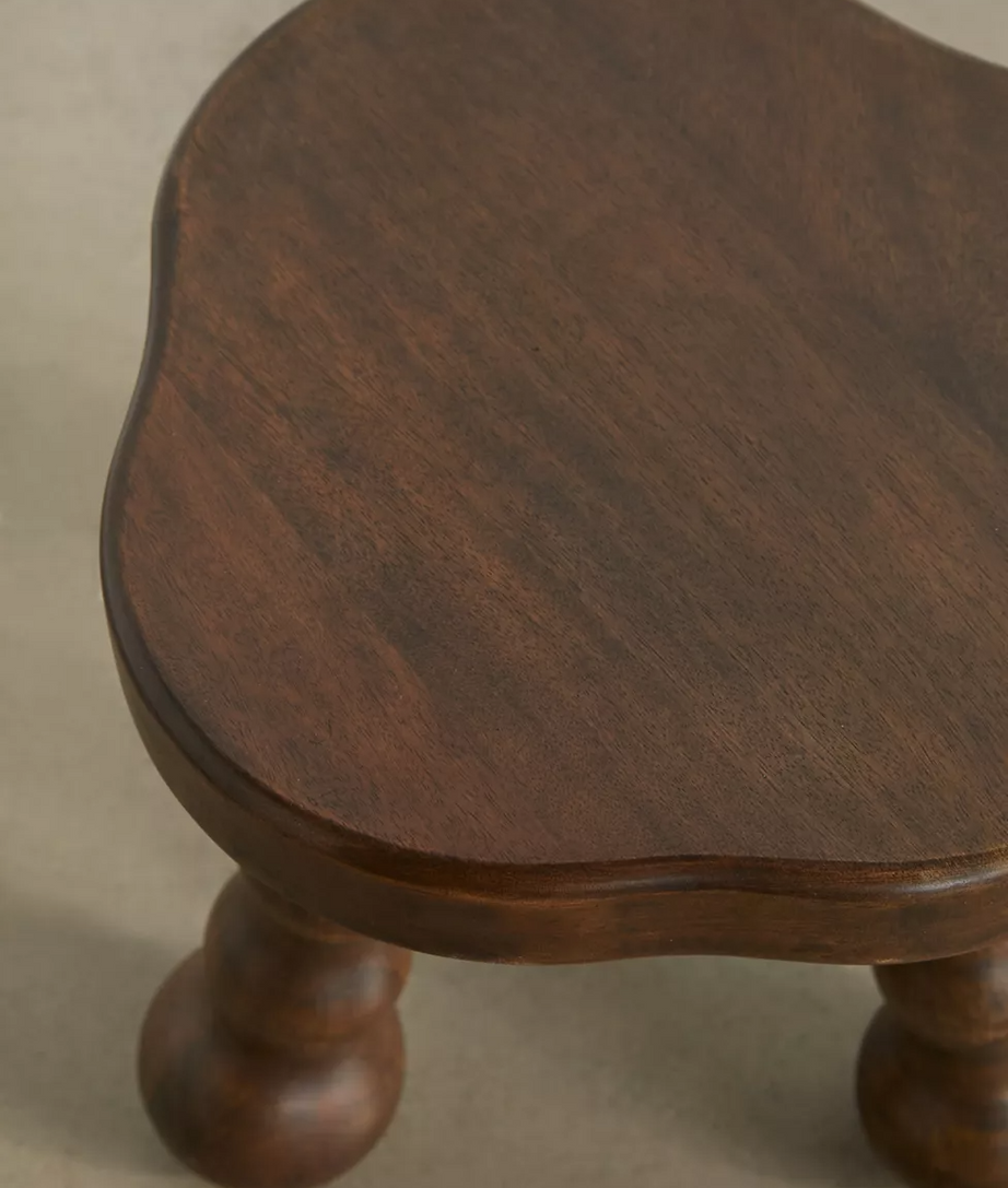 Spiny End Table - Ramgarh Crafts