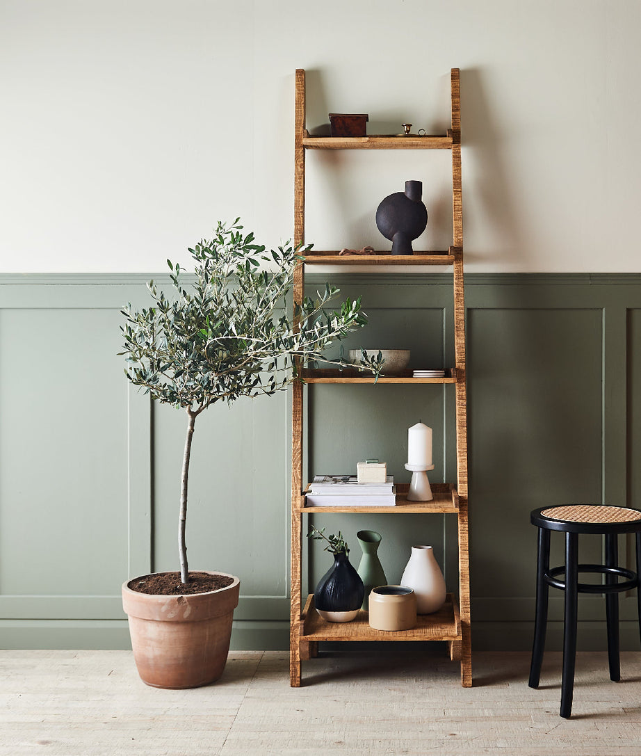Tamaka Ladder Shelf - Ramgarh Crafts