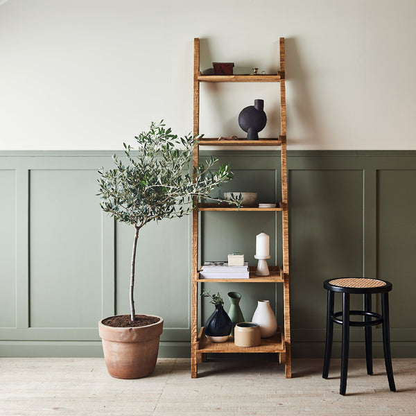 Tamaka Ladder Shelf