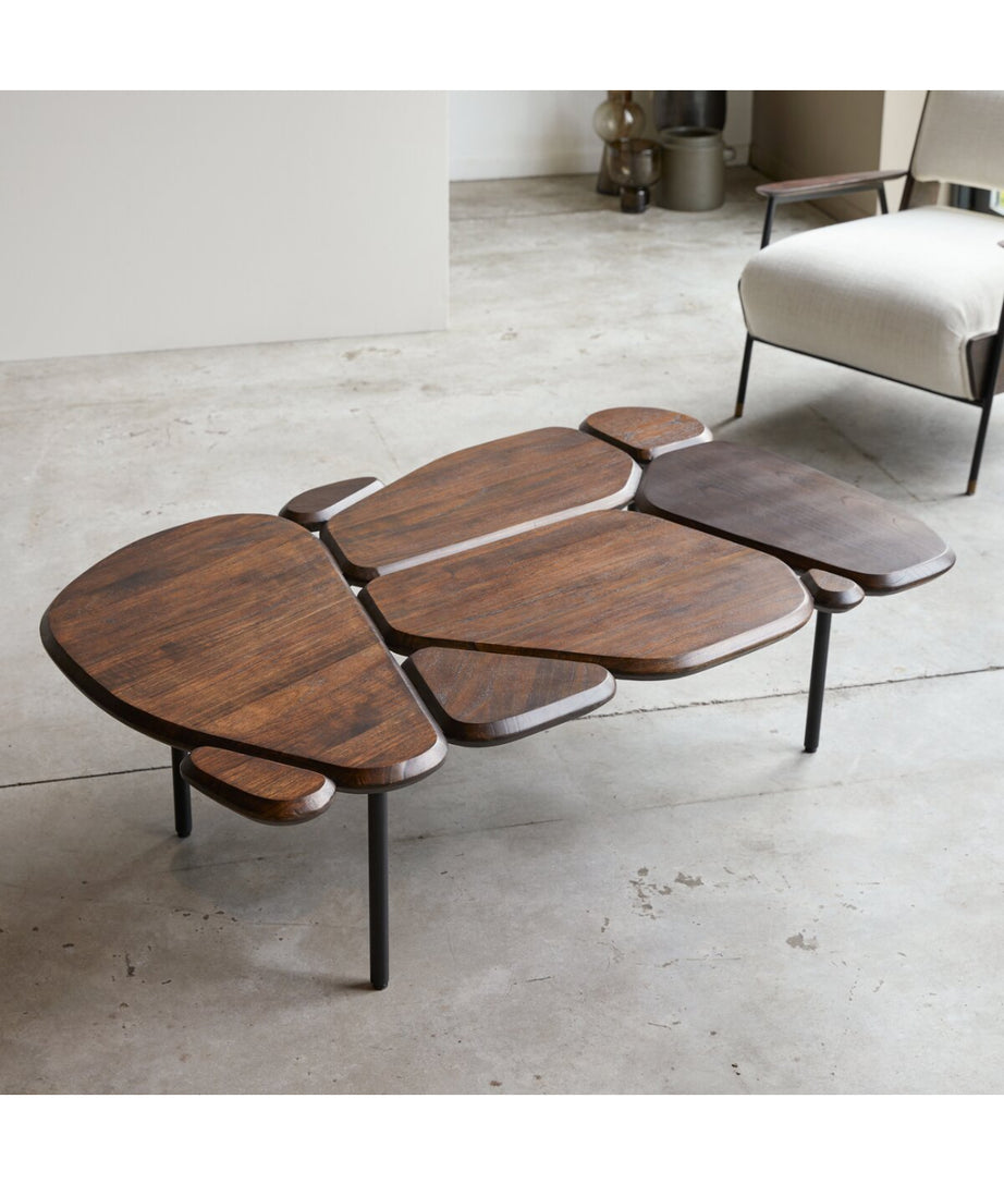 Golem Coffee Table - Ramgarh Crafts