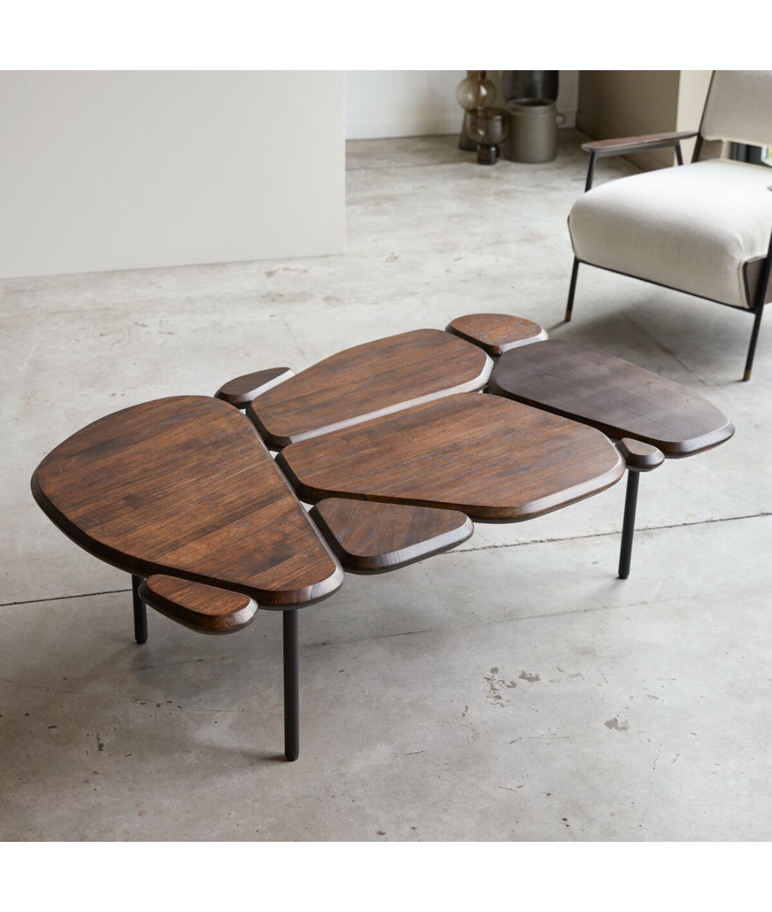 Golem Coffee Table - Ramgarh Crafts